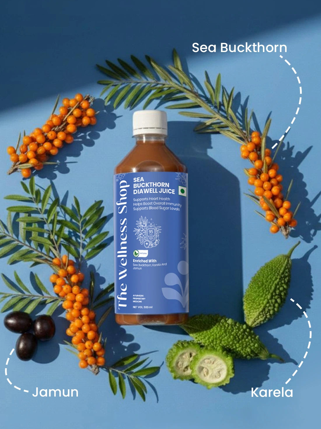 Sea Buckthorn DiaWell Juice