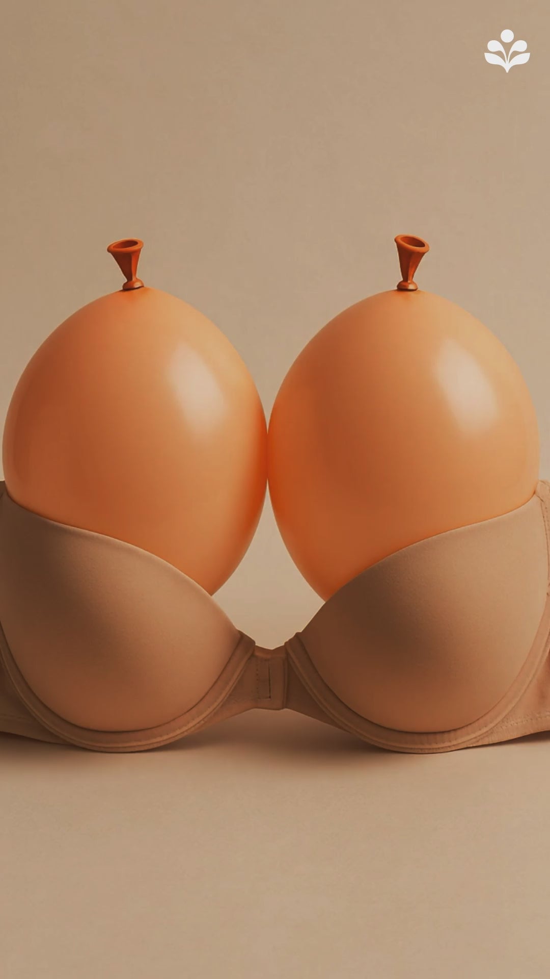 Plump &