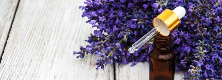 5 Mesmerizing Benefits Of Lavender Essential Oil That Are Hard To Miss