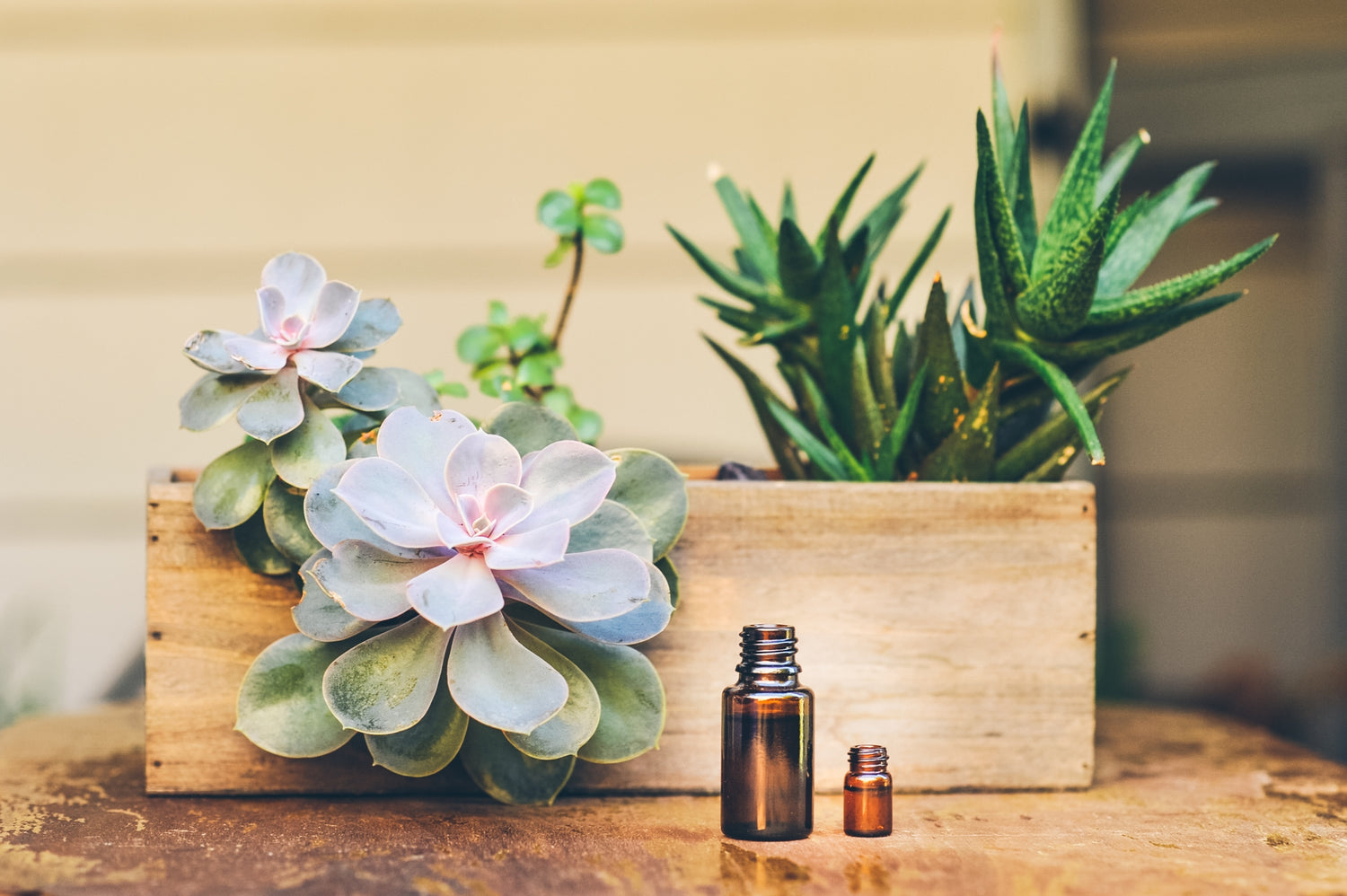 The Expert Guide To Using a Face Serum for Best Benefits