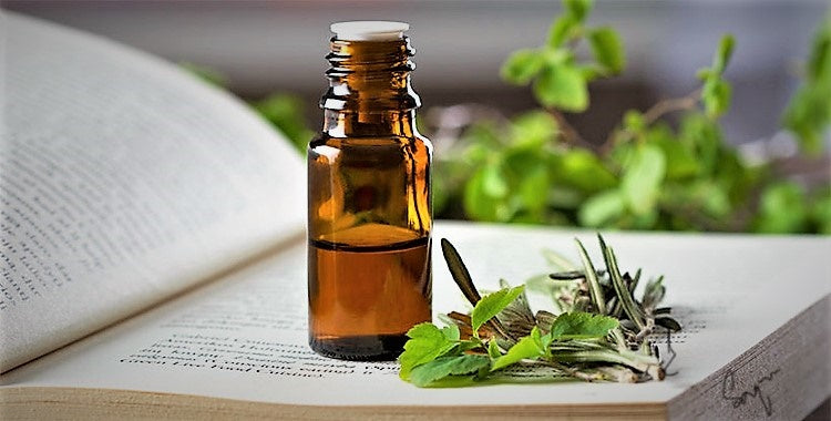 4 Reasons why essential oils are essential for you – The Wellness Shop
