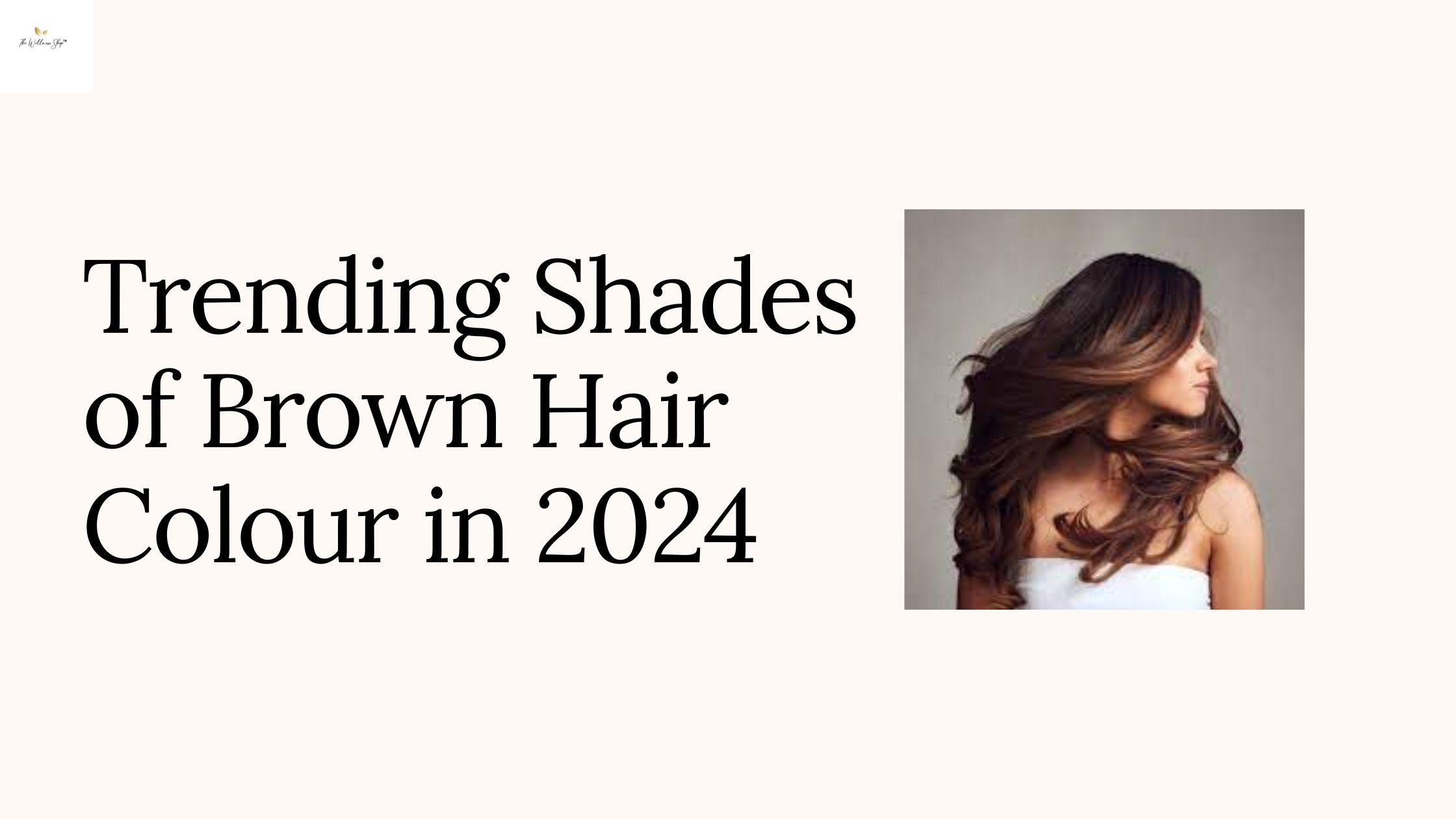 Brown Hair Colour