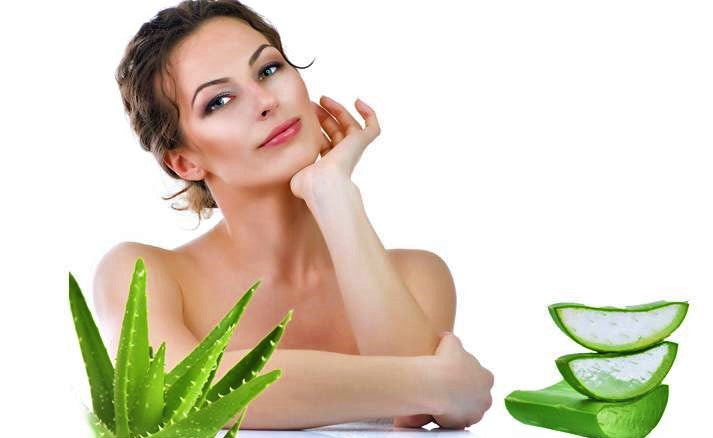 Properties of Aloe Vera