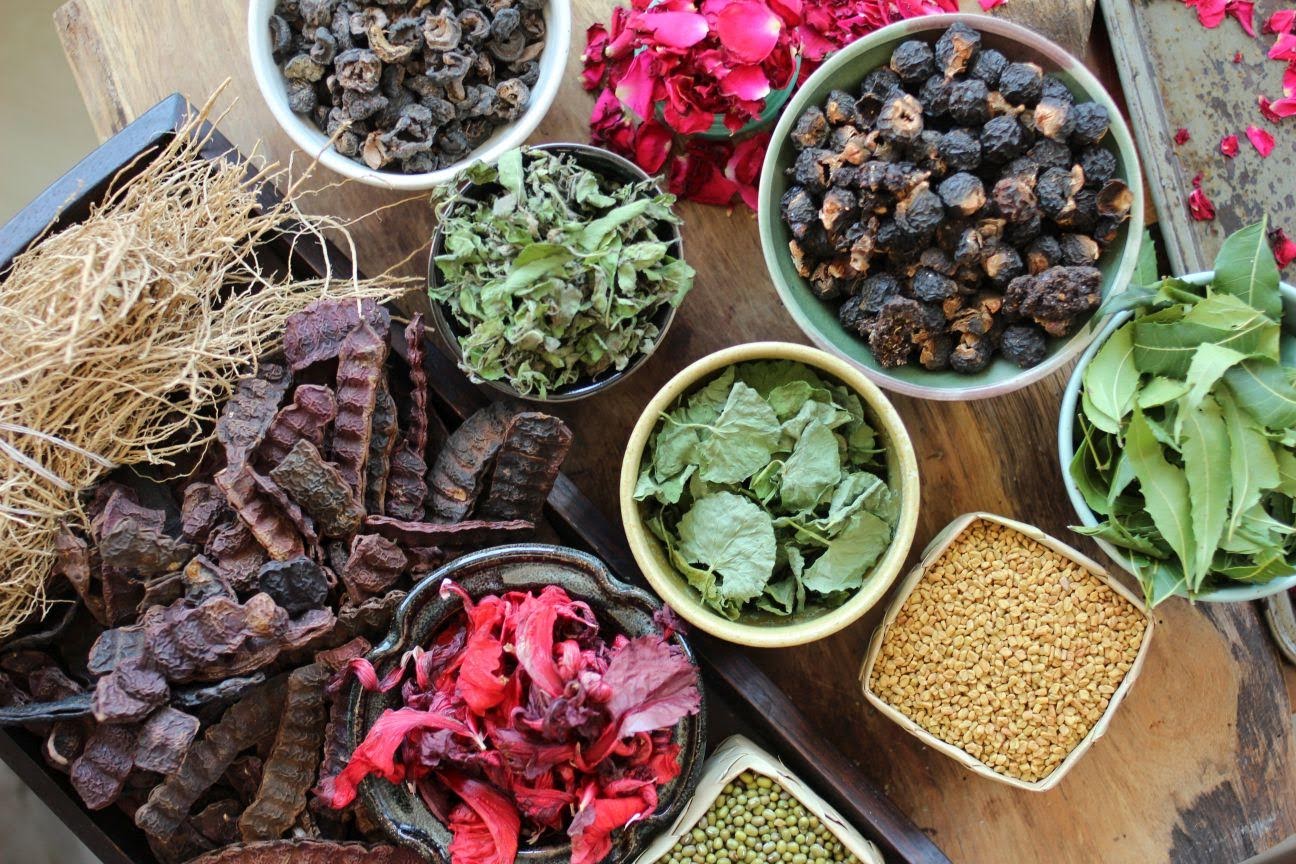 The Great History Of Organic Hair Wash Powder And Its Emergence.
