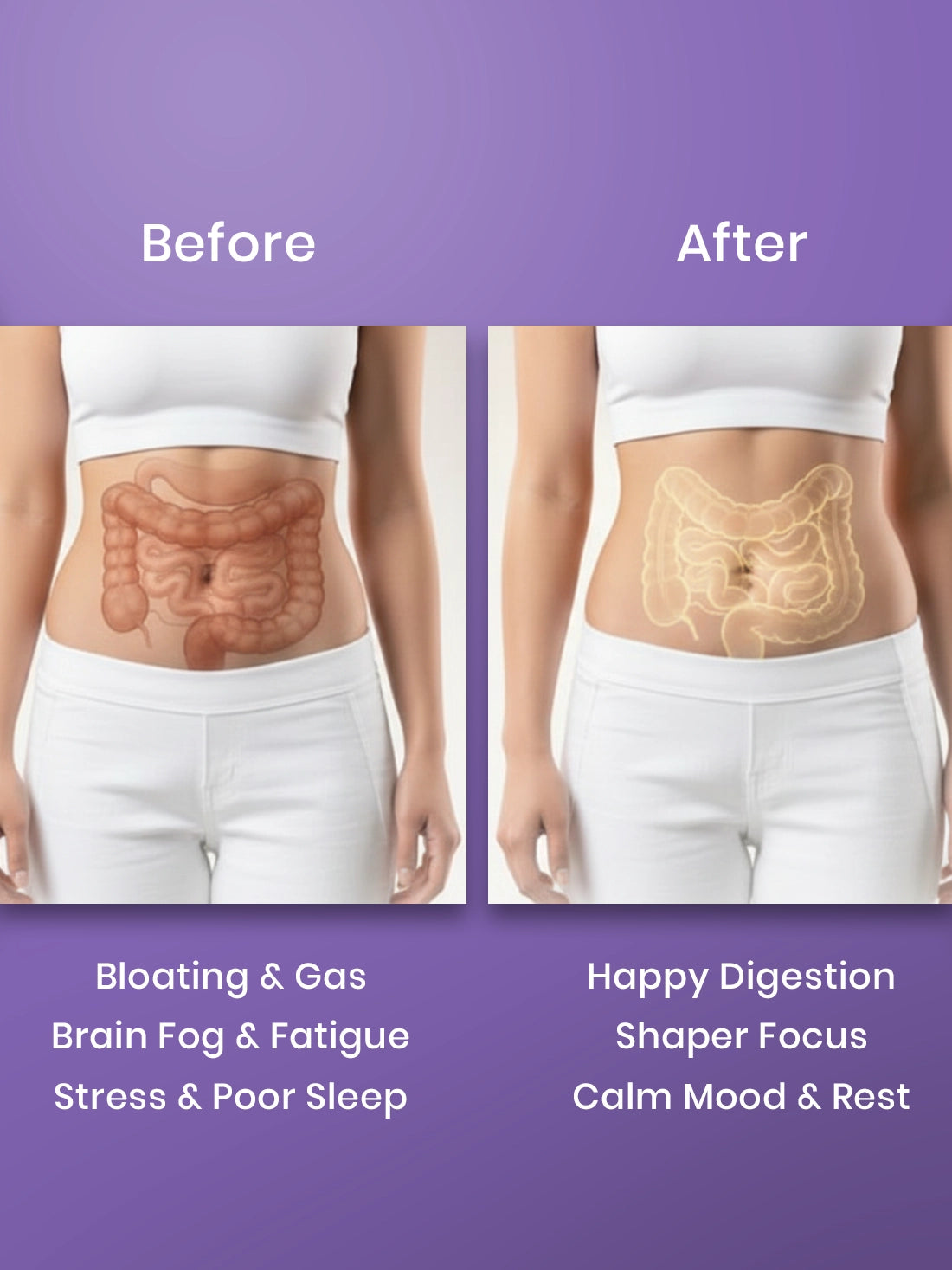 Gut Health Capsules