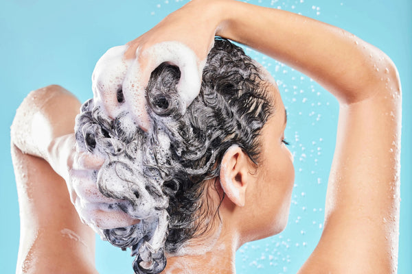 Shampoo & Conditioner