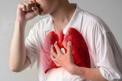 Lungs & Liver