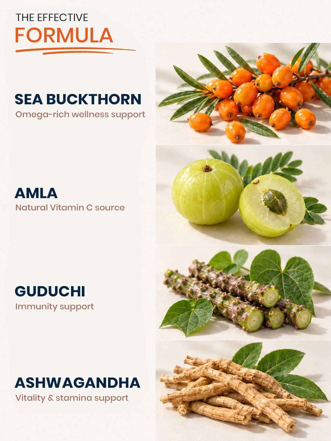 Sea Buckthorn Immune-Vitality Combo