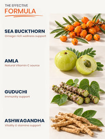 Sea Buckthorn Immune-Vitality Combo