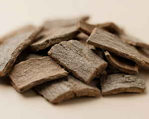 Ashoka Dry 