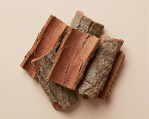 Arjun Bark Extract 