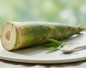 Bamboo Shoot