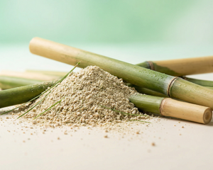 Bamboo Shoot Extract