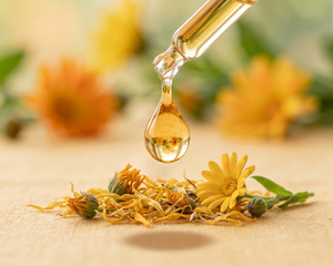 Calendula Essential Oil