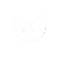 Veg Friendly