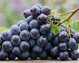 Grapes
