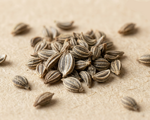 Ajwain Extract