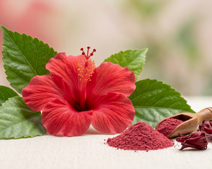 Hibiscus