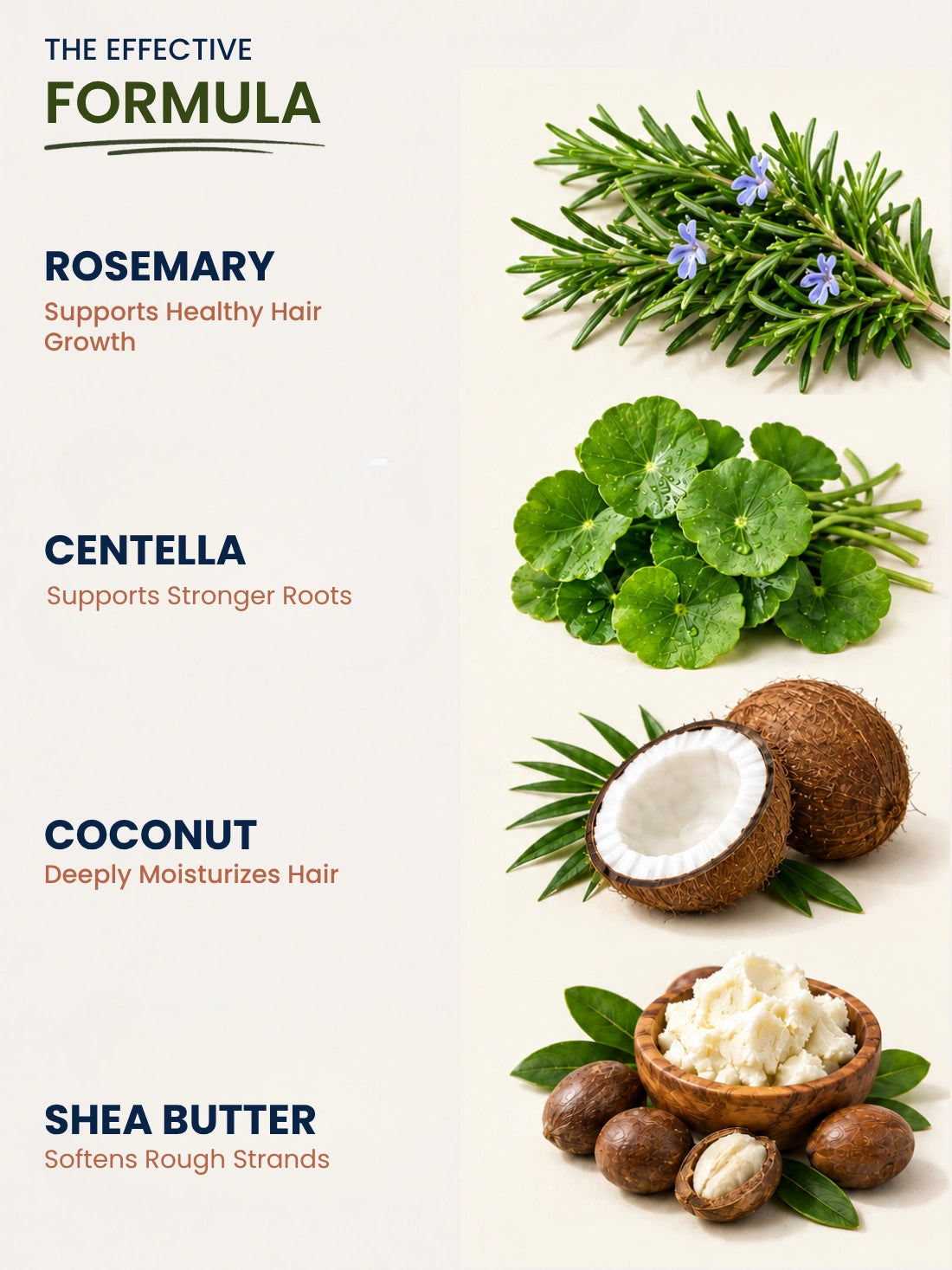 Rosemary &amp; Methi Anti Hairfall Conditioner - Hair Fall &amp; Thinning, Slow Hair Growth, Dullness &amp; Lack Of Shine