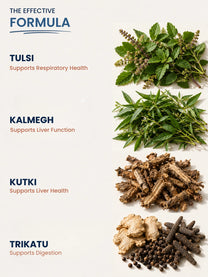 Lungs & Liver Detox Capsules - 12-Herb Ayurvedic Formula for Cleaner Breathing & Lighter Living