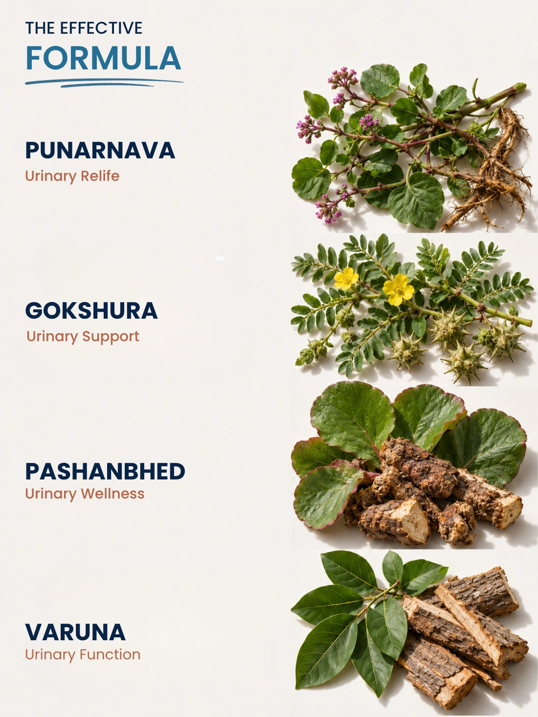 Kidney Stone Juice — Ayurvedic Formula for Stone Relief, Kidney Detox &amp; Pain-Free Urination