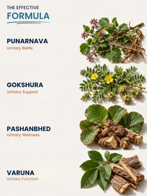 Kidney Stone Juice — Ayurvedic Formula for Stone Relief, Kidney Detox & Pain-Free Urination