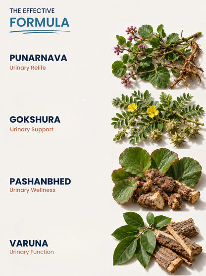 Kidney Stone Juice — Ayurvedic Formula for Stone Relief, Kidney Detox &amp; Pain-Free Urination