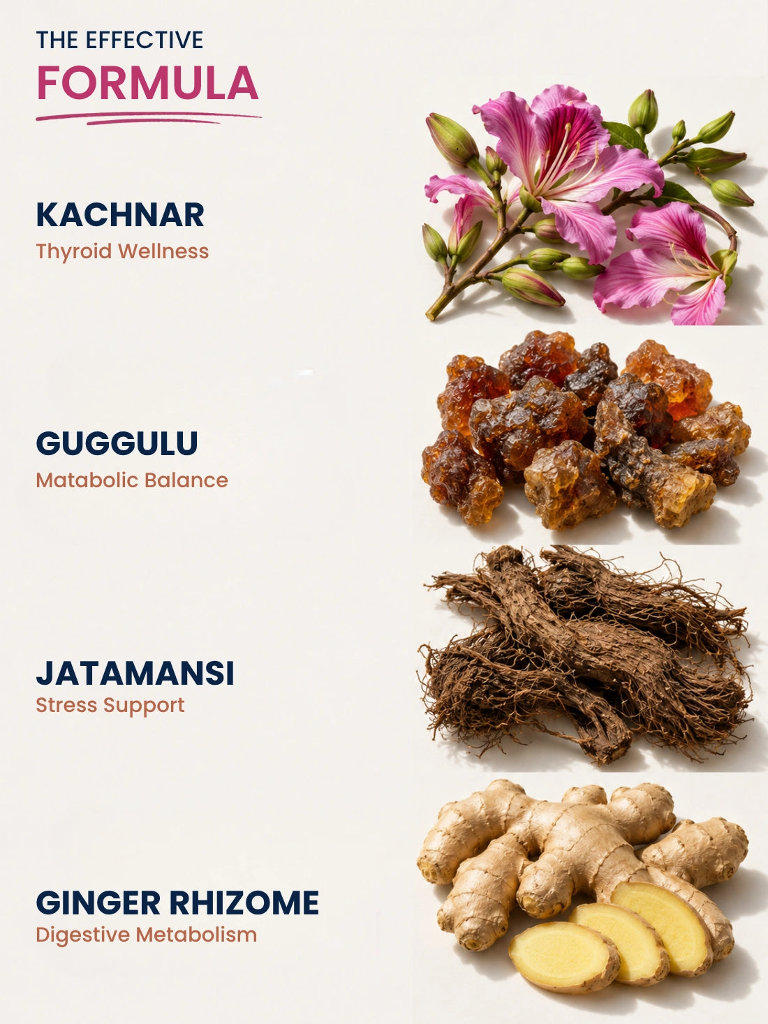 Thyro Care Juice — 23-Herb Ayurvedic Formula for Thyroid Support, Metabolism &amp; Energy