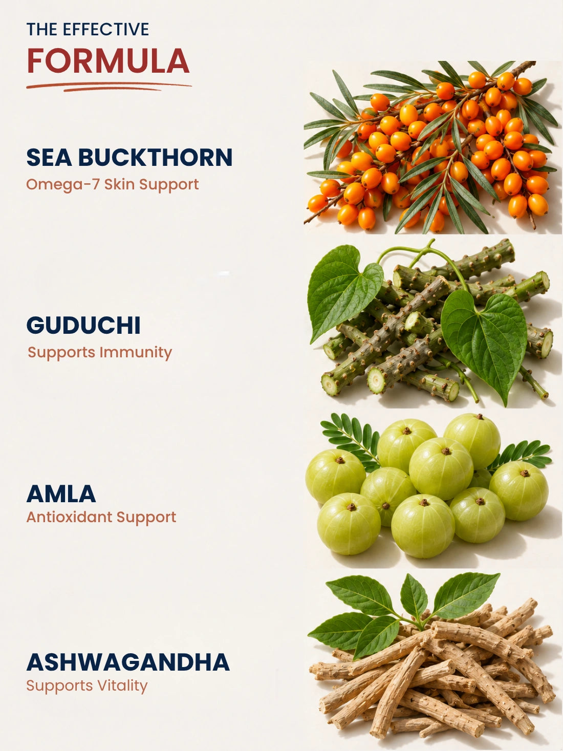 Sea Buckthorn Capsules