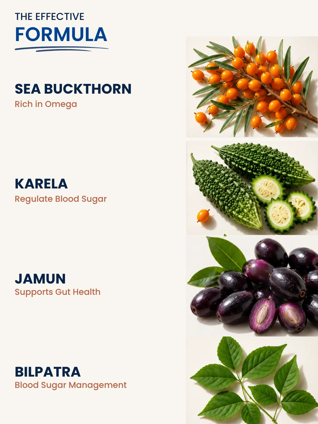 Sea Buckthorn DiaWell Wellness Juice