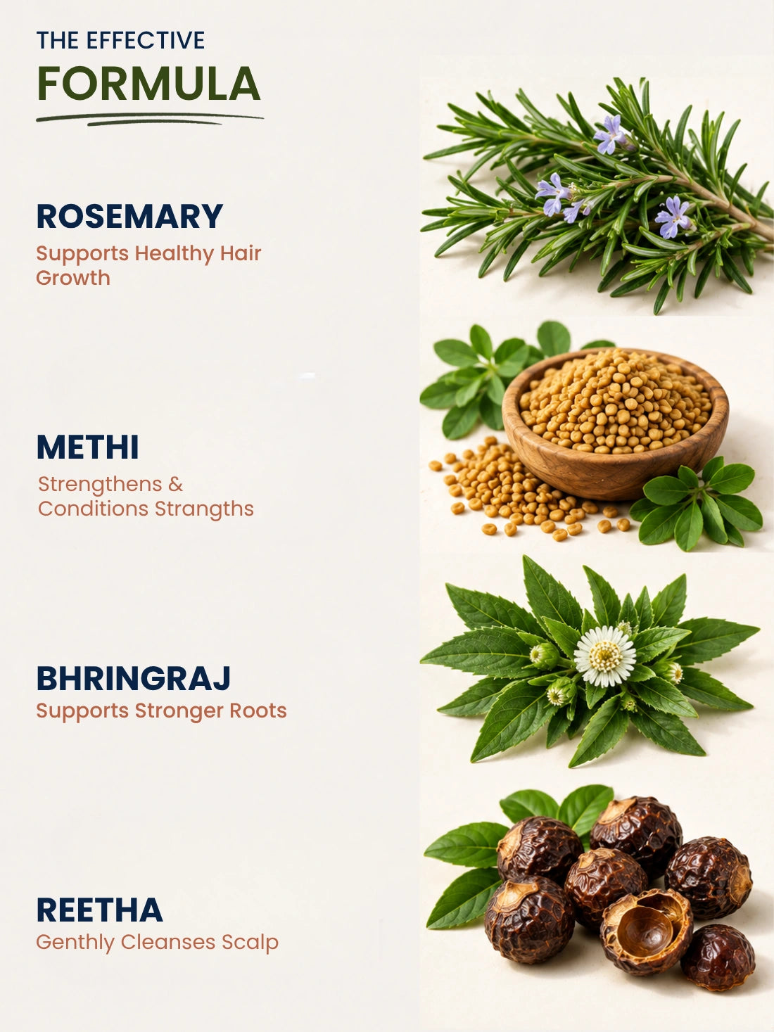 Rosemary &amp; Methi Anti Hairfall Shampoo - Hair Fall &amp; Thinning, Slow Hair Growth, Dullness &amp; Lack Of Shine