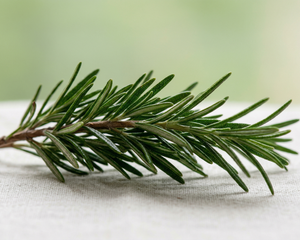 Rosemary