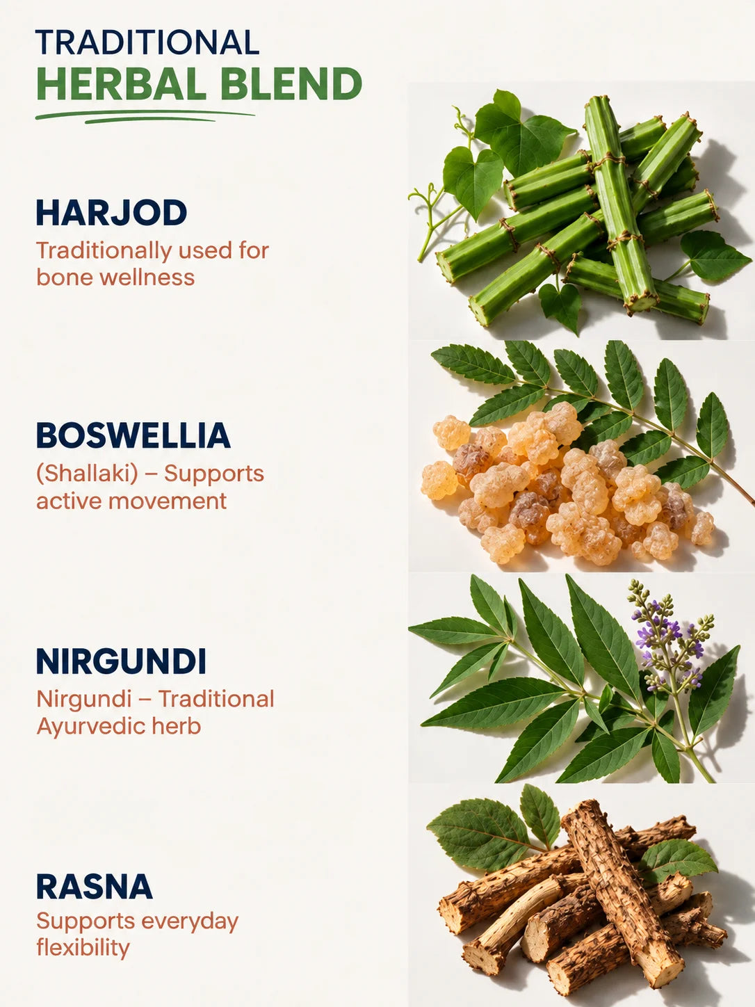 Daily Joint Wellness Support