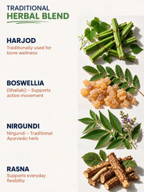 Daily Joint Wellness Support