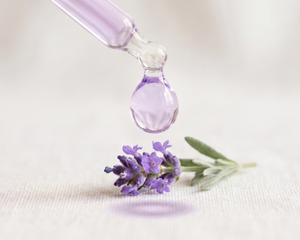 Lavender Oil