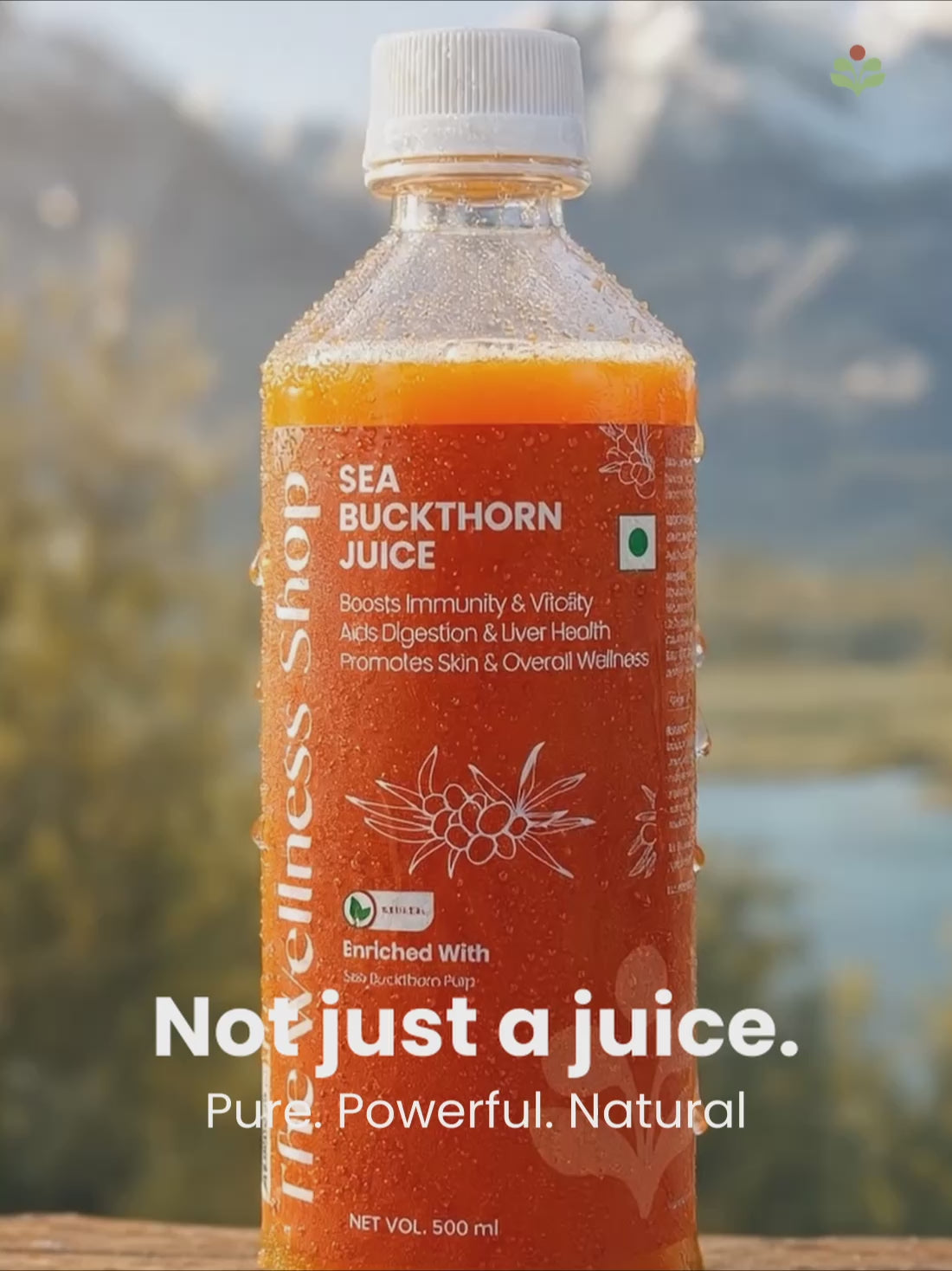 Sea Buckthorn Juice – 100% Ayurvedic for Immunity, Glow &amp; Energy