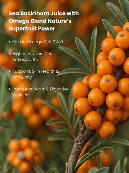 Sea Buckthorn Juice