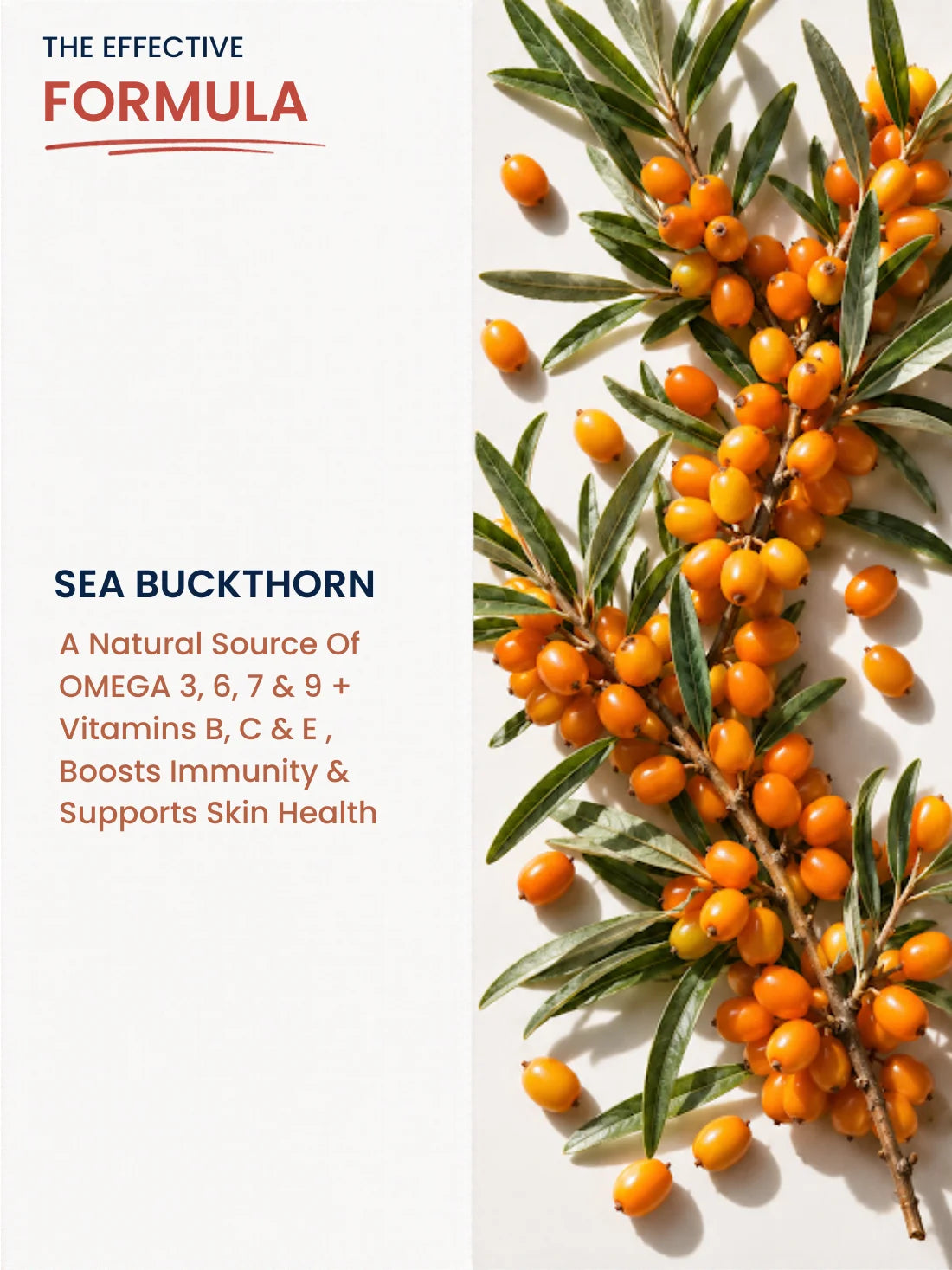 Sea Buckthorn Juice For Skin Glow, Immunity, Gut &amp; Hair Health